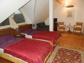 Отели типа «постель и завтрак» Dwór Strzyżew Żelazowa Wola Большой двухместный номер с 1 кроватью или 2 отдельными кроватями-2