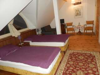 Отели типа «постель и завтрак» Dwór Strzyżew Żelazowa Wola Большой двухместный номер с 1 кроватью или 2 отдельными кроватями-3